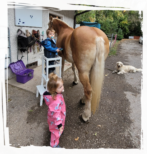 Unsere Kinder beim putzen von Sesha